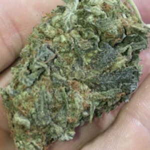 Buy Black Cherry Soda Marijuana Strain Online