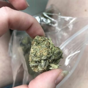 Buy Granddaddy Purple Marijuana Strain Online