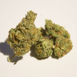 Buy Quality Chocolate Fondue Strain Online