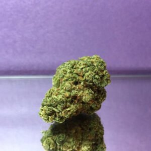 Buy Rocky Mountain Blueberry Strain Online